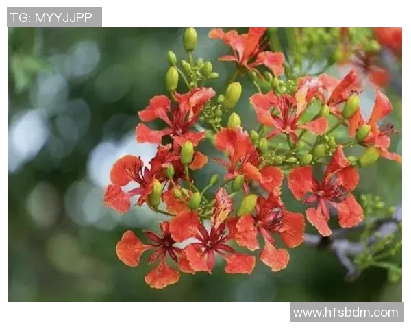 泳姿的多样性与演变探析:从传统到现代的技术与风格发展 泳姿的多样性与演变探析:从传统到现代的技术与风格发展