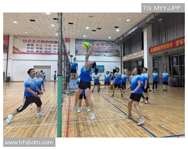 专访赵丽：探寻她在排球赛场上的成功秘诀与奋斗历程